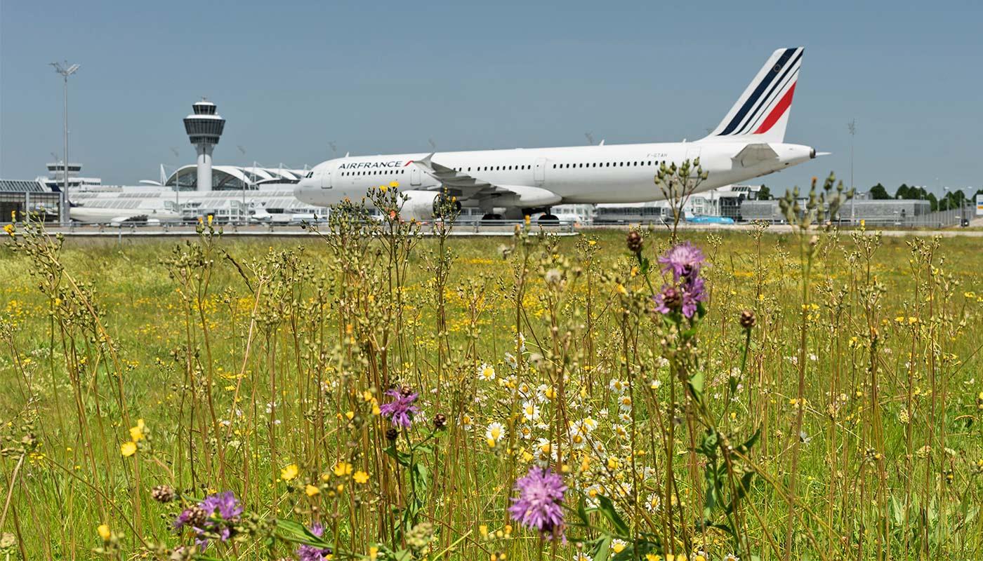 Mehr erfahren Mehr erfahren