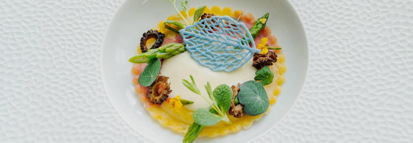 Gala evening Allresto - Ravioli with colorful elements Artistically arranged ravioli with vegetables, herbs, and decorative blue element, served at the Allresto gala evening.