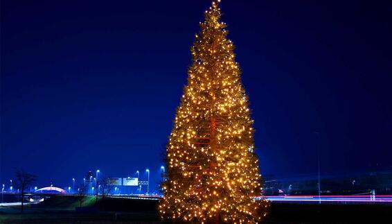Christbaum Christbaum erstrahlt an der Zentralallee am Münchner Airport